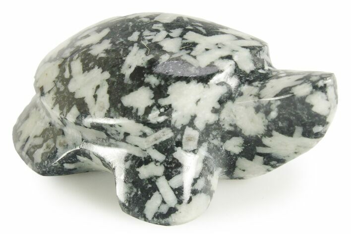Carved Chinese Writing Rock Turtle - BC Canada #366977